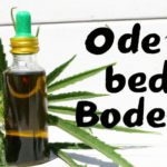CBD-olie: Vores familie’s naturlige løsning til bedre søvn